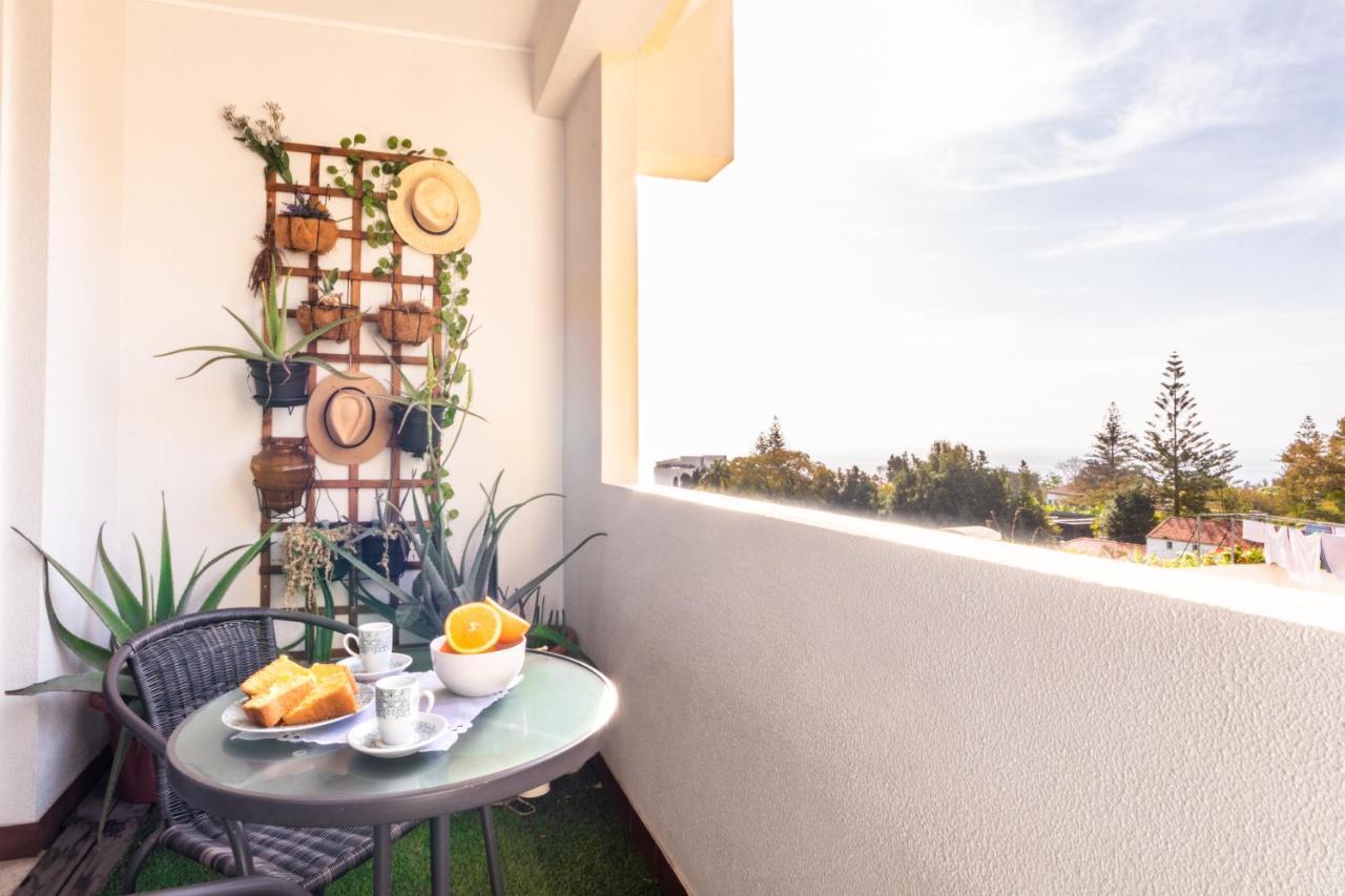 Maria Casa Branca By Alma Holiday Rentals 丰沙尔 外观 照片
